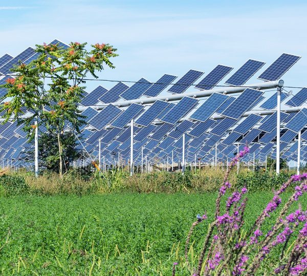 Qu’est-ce que l’agrivoltaïsme ?