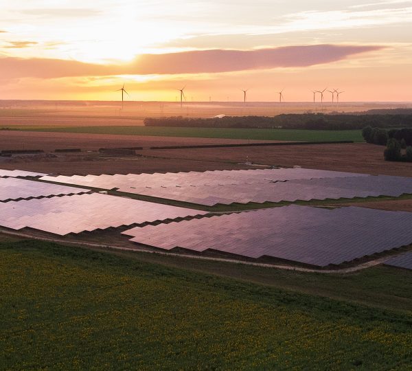 Le syndicat Enerplan demande un Plan d’urgence solaire